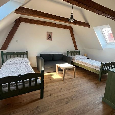 Apartmany Statek Bezdedice Hostomice Exteriör bild