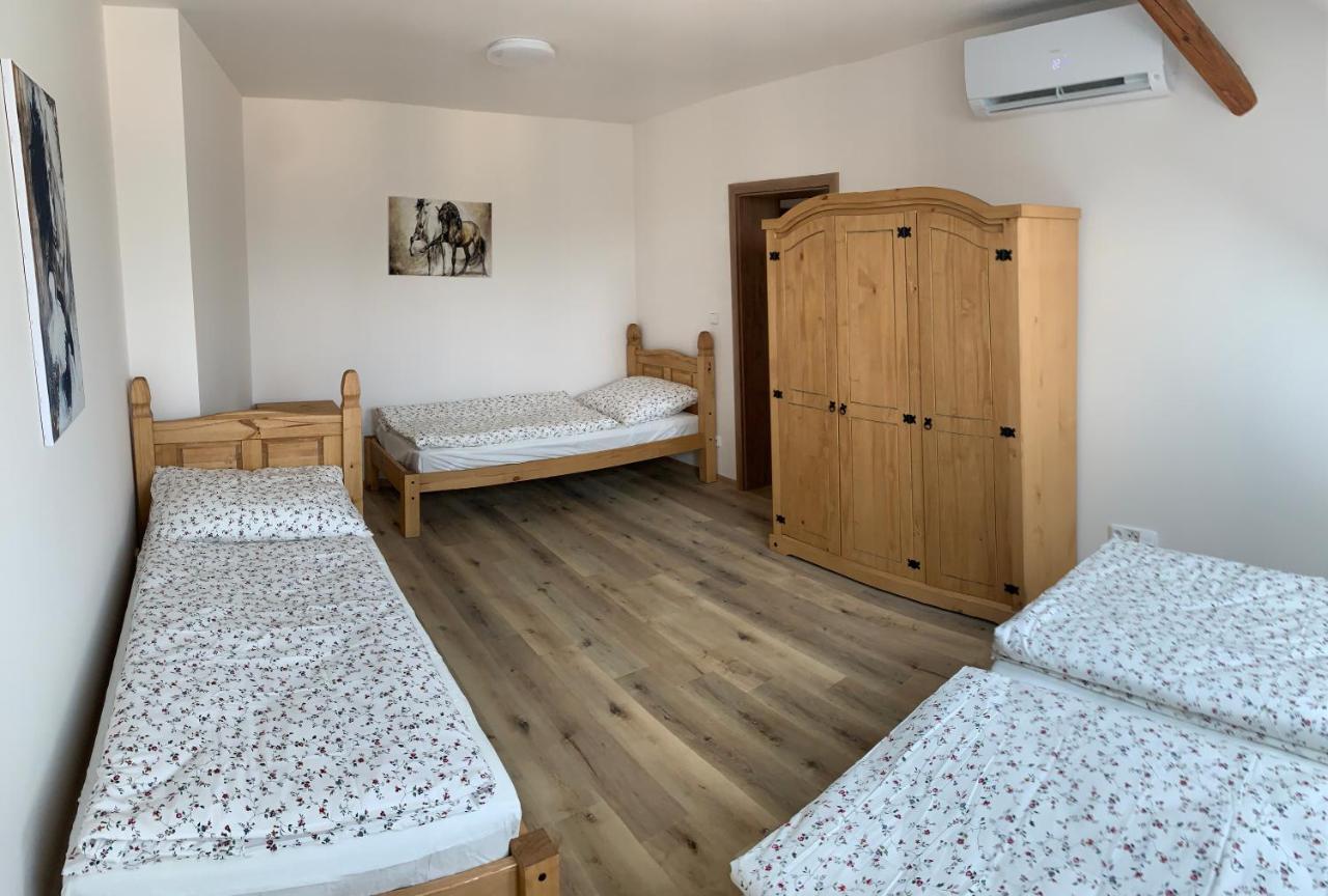 Apartmany Statek Bezdedice Hostomice Exteriör bild