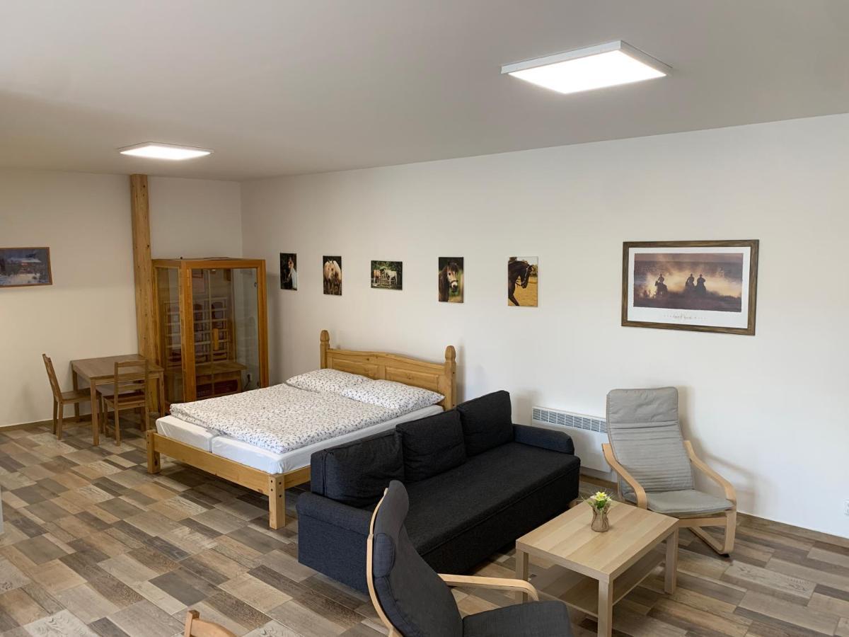 Apartmany Statek Bezdedice Hostomice Exteriör bild