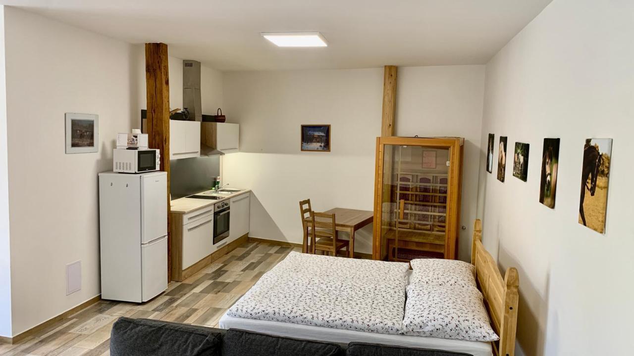 Apartmany Statek Bezdedice Hostomice Exteriör bild